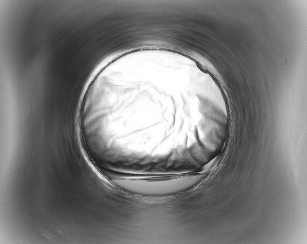 X0000085751440200704091308