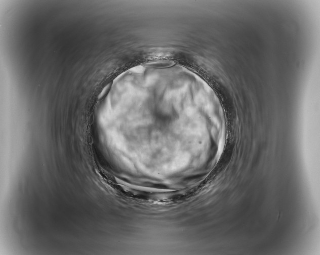 X0000085751441200704091307