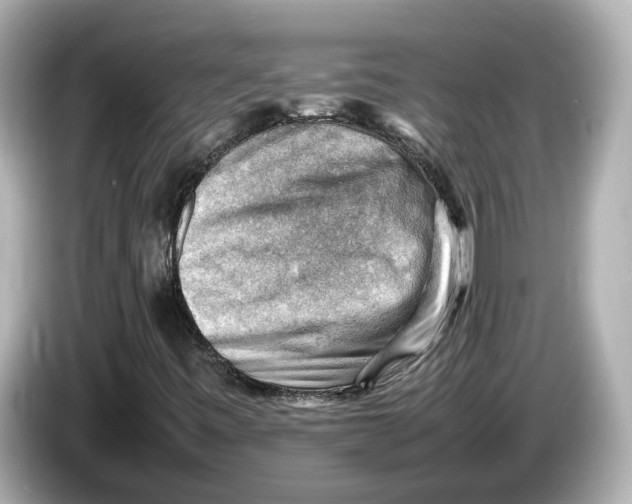 X0000085751443200704091307