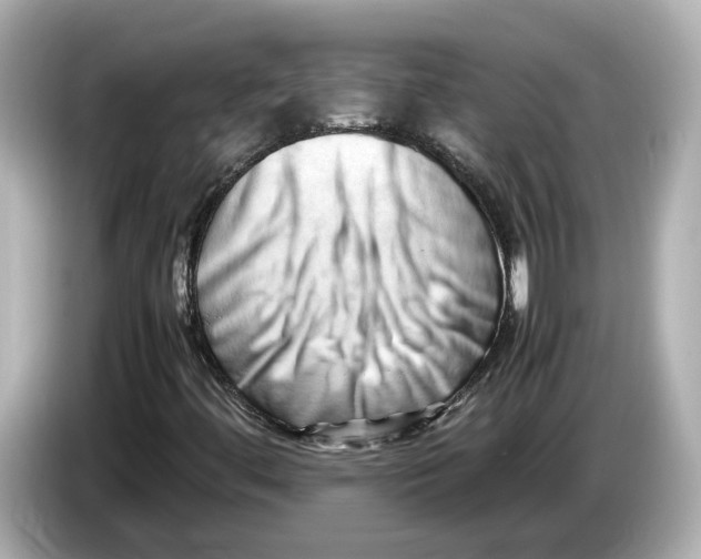 X0000085751444200704091307