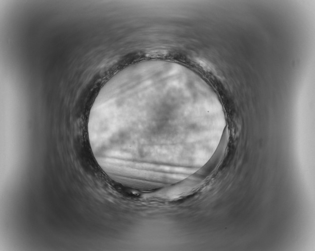 X0000085751445200704091307