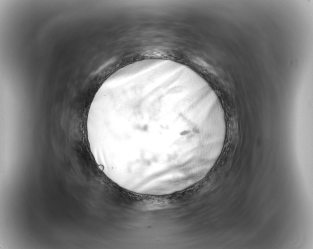 X0000085751446200704091307