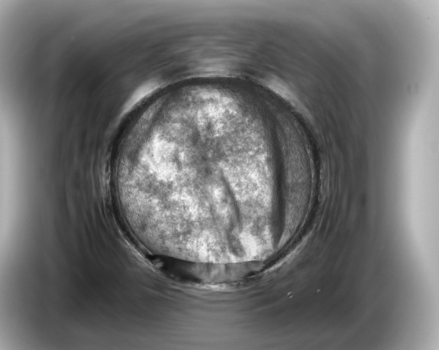 X0000085751450200704091307