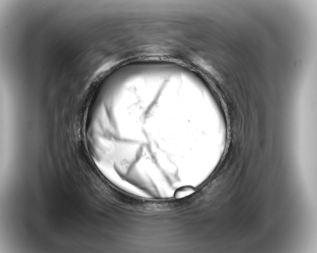 X0000085751451200704091307