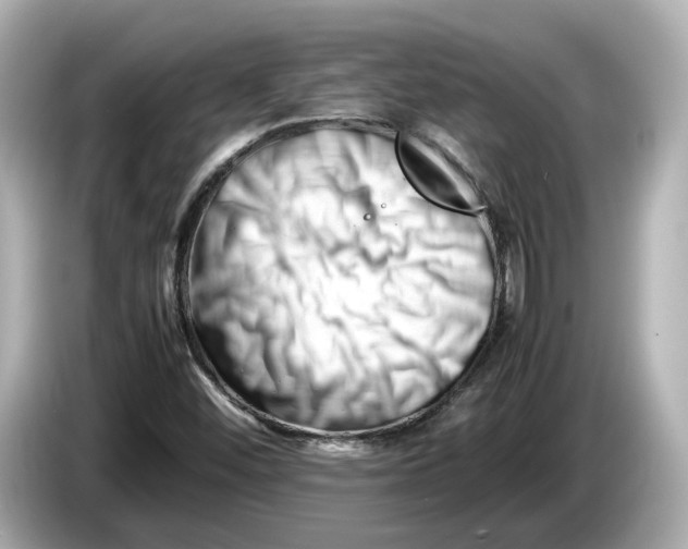 X0000085751452200704091307