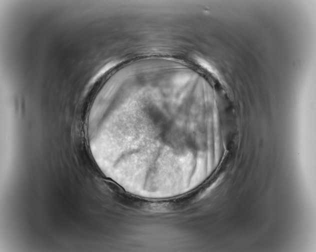 X0000085751453200704091307