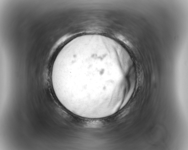 X0000085751454200704091307