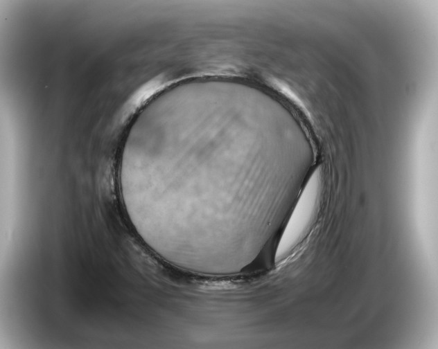 X0000085751455200704091307