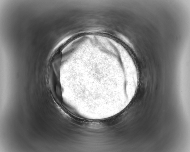 X0000085751456200704091307