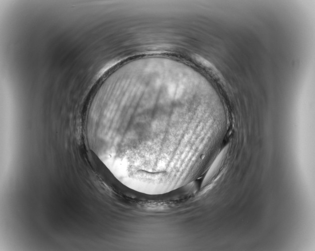 X0000085751457200704091307