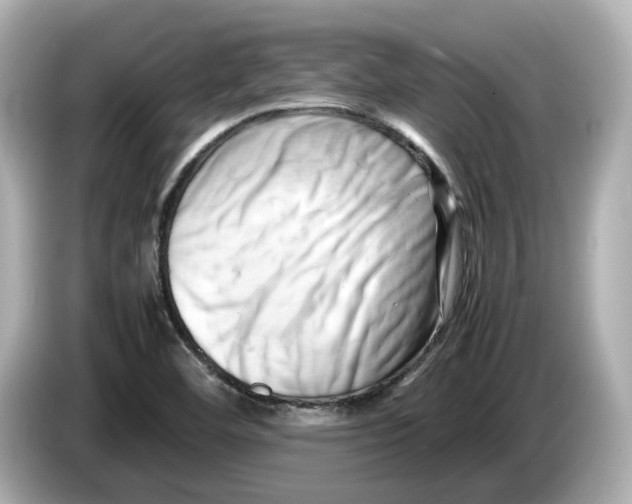 X0000085751460200704091307