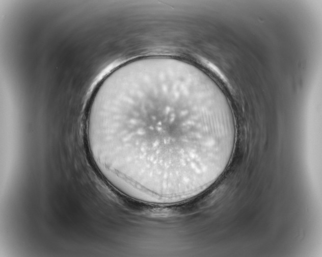 X0000085751463200704091307