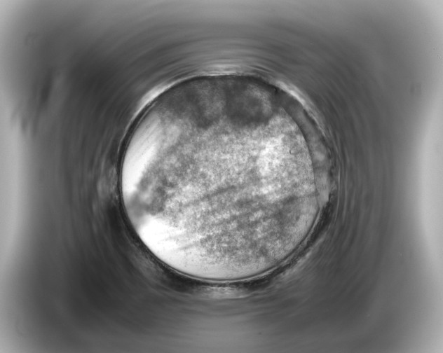 X0000085751465200704091307