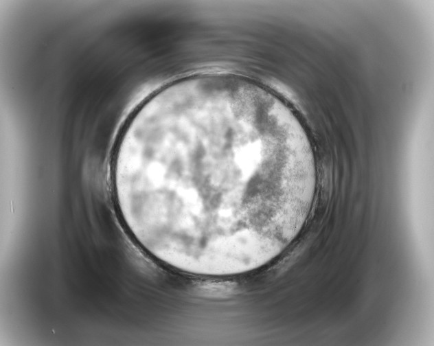 X0000085751466200704091307