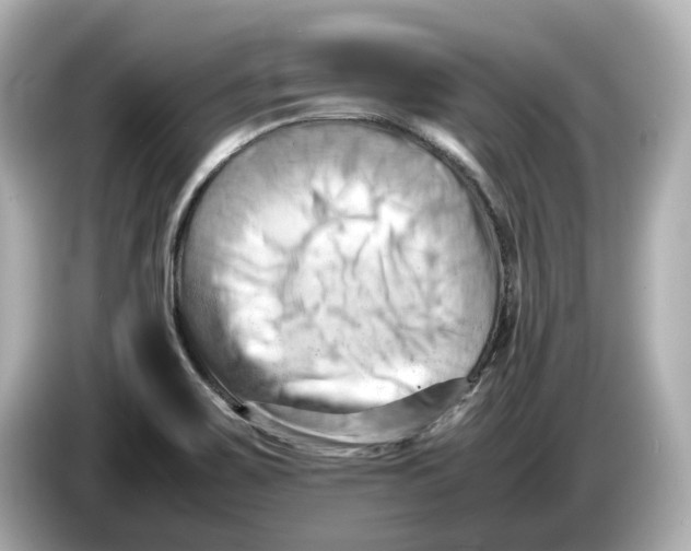 X0000085751467200704091307