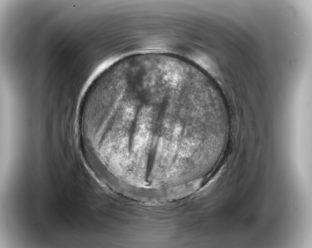 X0000085751469200704091307