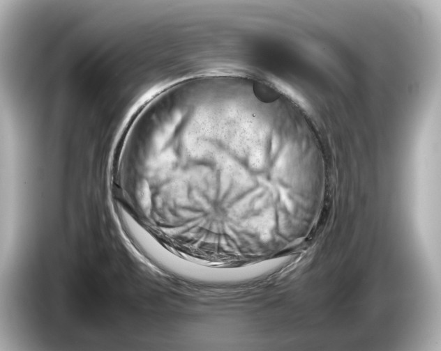 X0000085751471200704091307