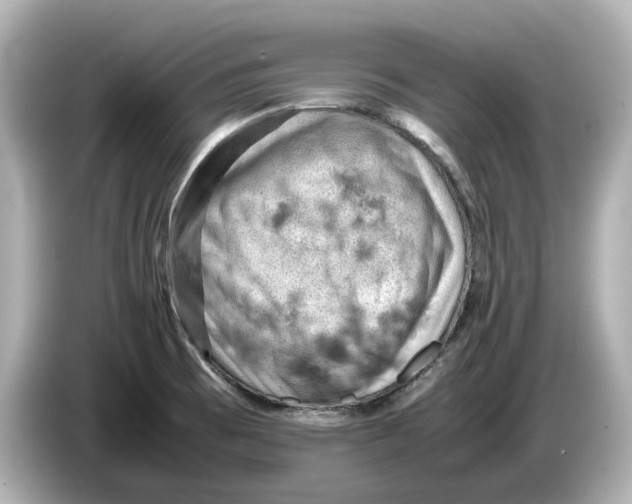 X0000085751473200704091307