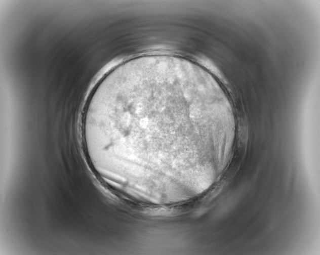 X0000085751474200704091307