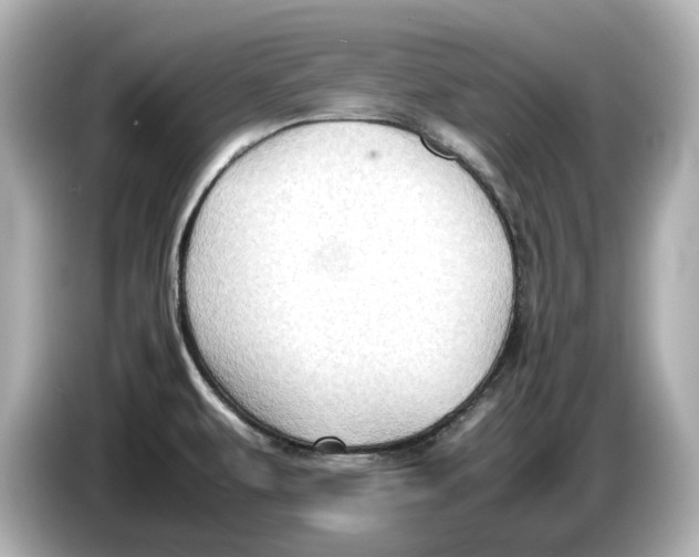 X0000085751479200704091307