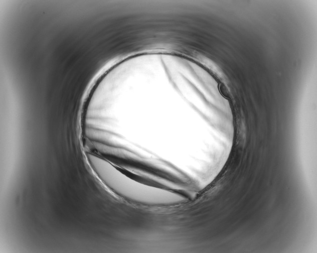 X0000085751480200704091307