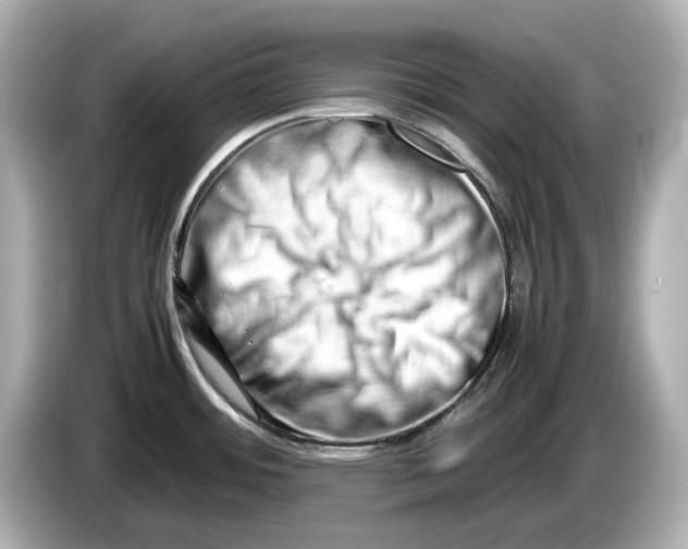 X0000085751484200704091307