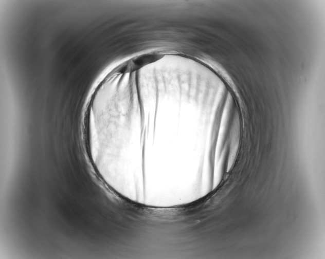 X0000085751488200704091307