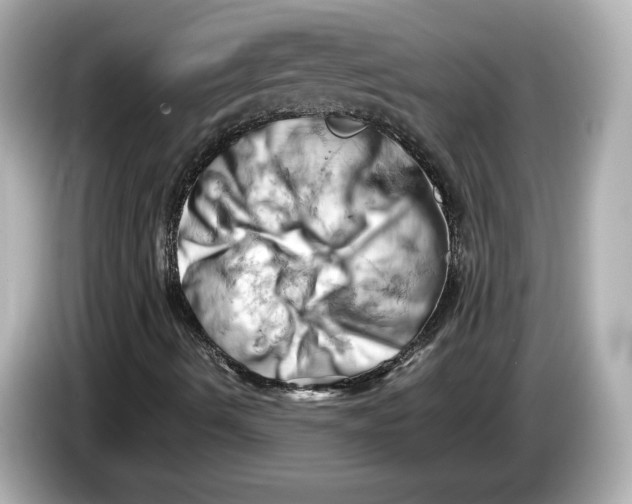 X0000085751490200704091306