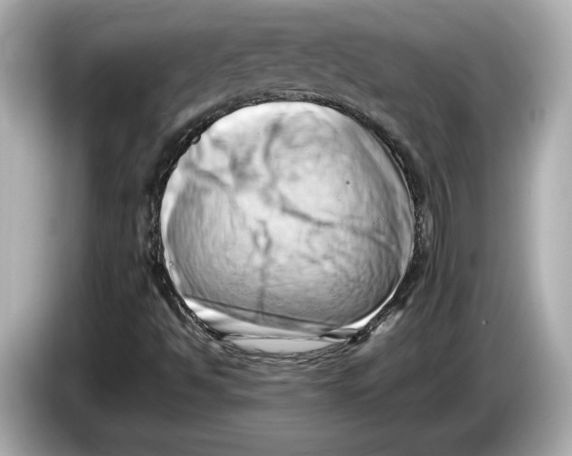 X0000085751494200704091306