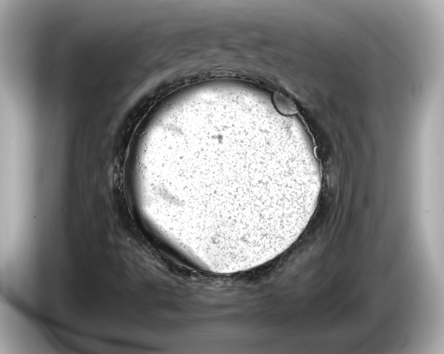 X0000085751495200704091306