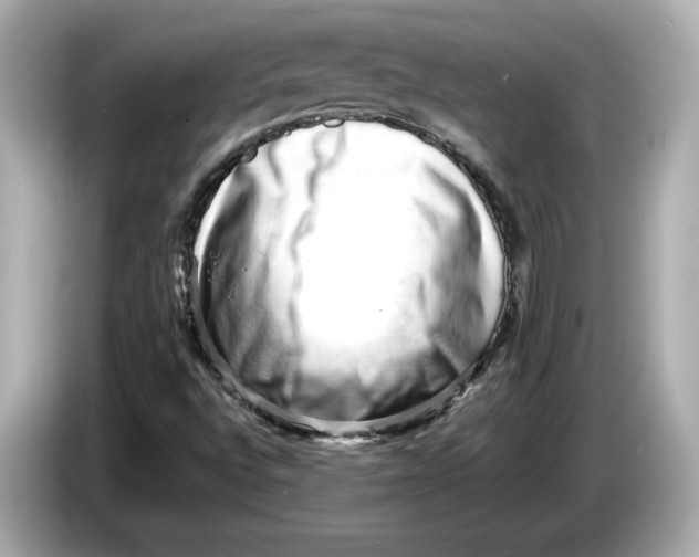 X0000085751496200704091306