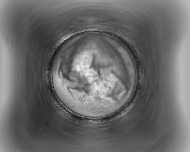 X0000085751497200704091306