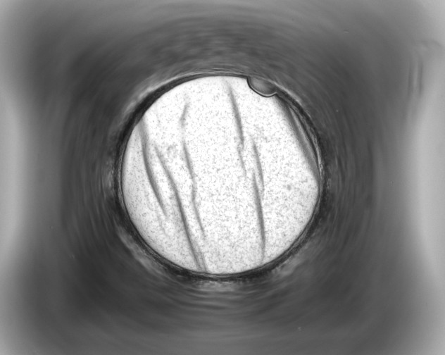 X0000085751499200704091306