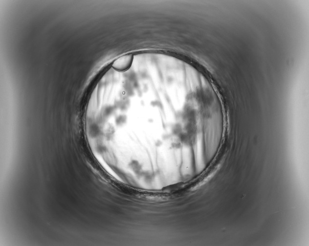 X0000085751501200704091306