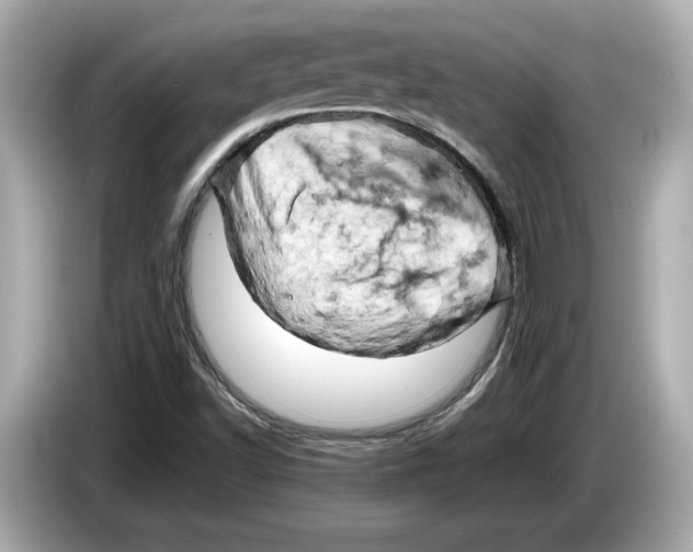 X0000085751502200704091306