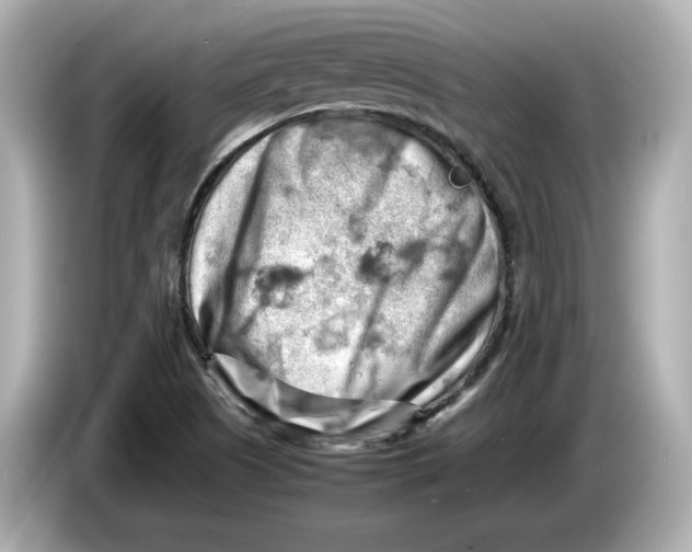 X0000085751505200704091306