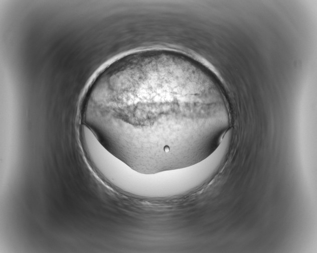 X0000085751508200704091306