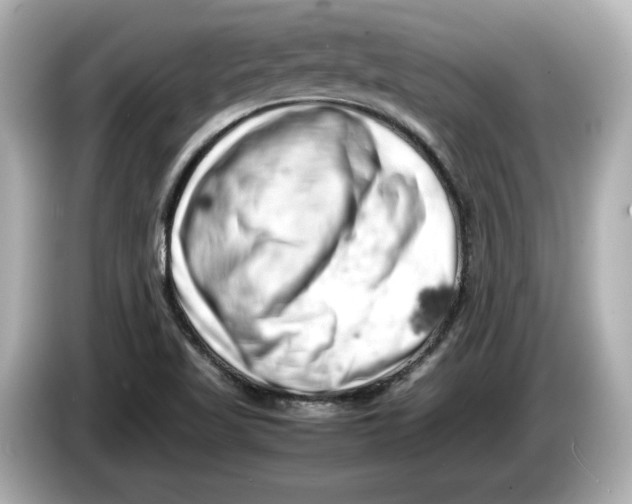 X0000085751509200704091306