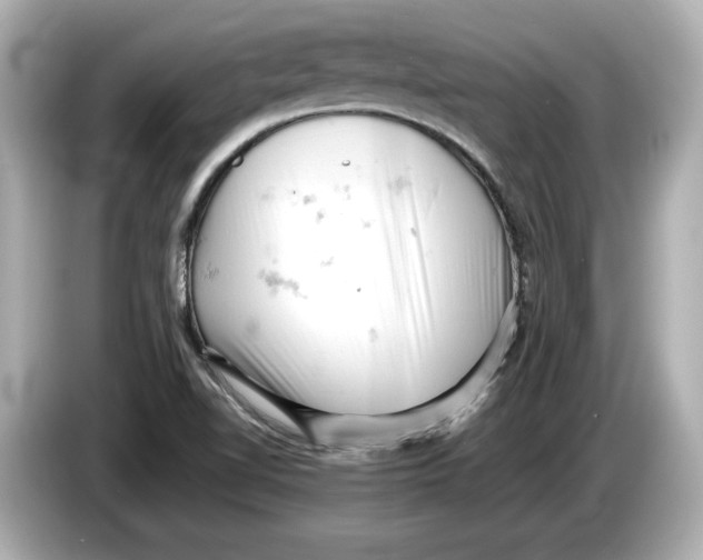 X0000085751510200704091306