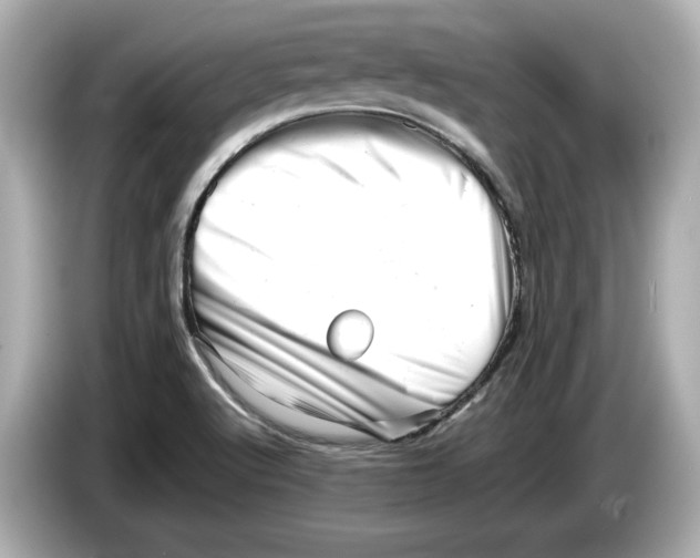 X0000085751512200704091306