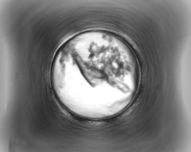 X0000085751513200704091306