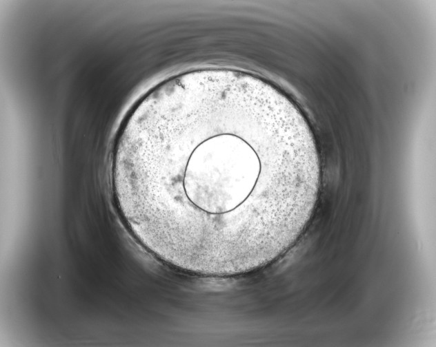 X0000085751514200704091306