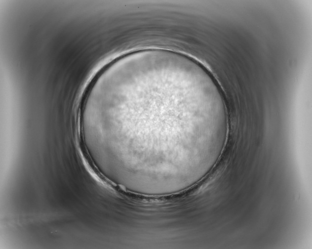 X0000085751515200704091306