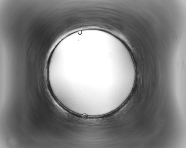 X0000085751516200704091306