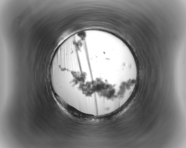 X0000085751521200704091307