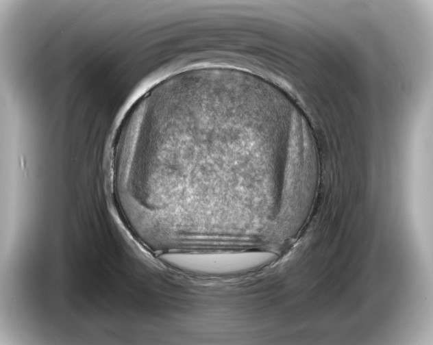 X0000085751522200704091307