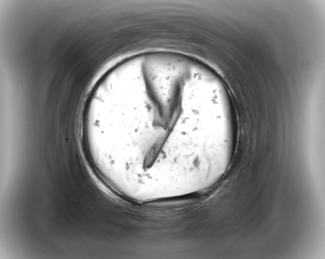 X0000085751523200704091307