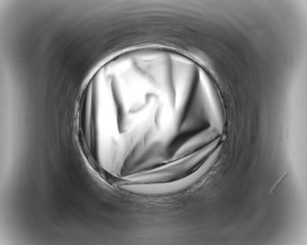 X0000085751524200704091307