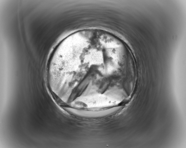 X0000085751525200704091307