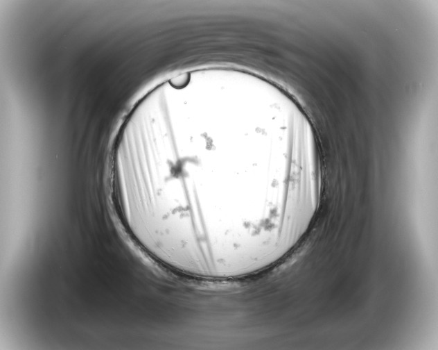 X0000085751526200704091307